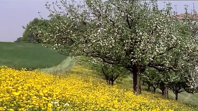 فیلم کامل قدیمی: ماجراهای وحشیانه و شهوانی دختران مدرسه ای در سال 1977