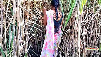 Desi Chudai With Hot Neighbor Aunty In Outdoor Sugarcane Field