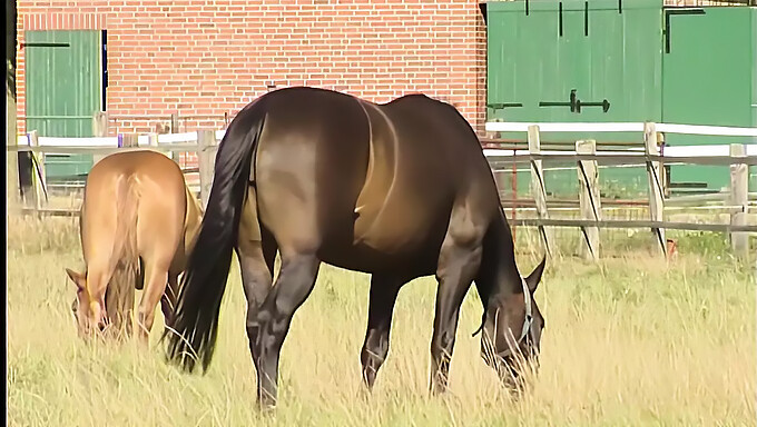 Vintage Duitse Tiener Geniet Van Solo Buiten Spelen Met Panty'S Op