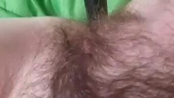 Young Amateur Indulges In Solo Play With Her Hairy Pussy